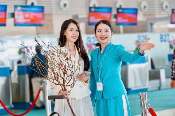 Vietnam Airlines nhận vận chuyển đào, mai cắt cành