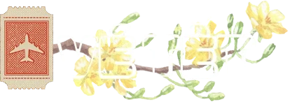 VÉ TẾT