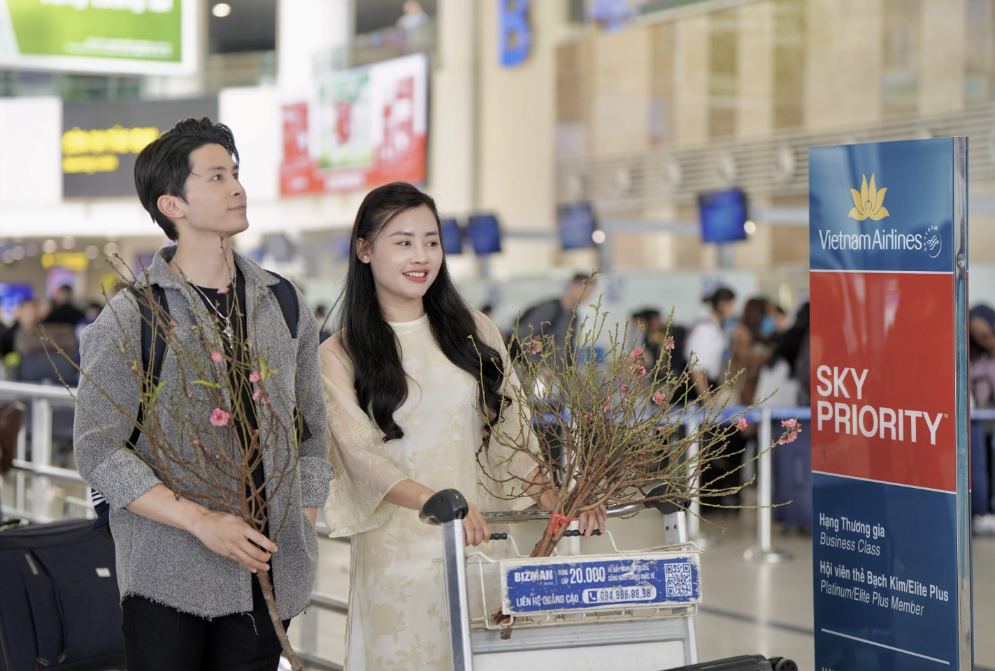 quy định mang cành mai cành đào vé máy bay Tết 2027